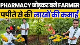 पपीता की खेती बनाएगी मालामाल🤑😱Papaya Farming का A to Z Management🔥💯Indian Farmer