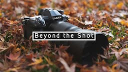 Panasonic G9 Wildlife/Bird Photography Quick Review | BEYOND THE SHOT