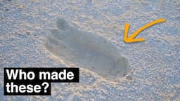 The world's most heavily debated footprints