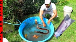 OPENING a LIVE FISH EASTER BASKET!