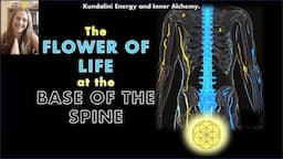 The Flower of Life at the Base of the Spine -- Kundalini Energy | Sacred Secretion