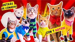 Pongo ROPA a todos mis 7 GATOS para sesion de fotos! 📷😻