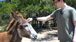 Making new friends at Alveus Sanctuary