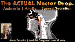 Nectar of the Gods - Ambrosia and Amrita of Immortality - Hypothalamus and Sacred Secretion