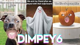 *1 HOUR* Funny Shorts Dimpey6 | Best of ItsDimpey 2024 | Shorts Comps