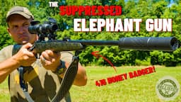 The Suppressed Elephant Gun (The Ultimate Safari Rifle ???)