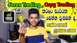 How to Earn E-Money For Sinhala.How to Success in Frorex Trading.Copytrading.