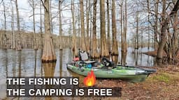 Truck camping and fishing this beautiful cypress lake!