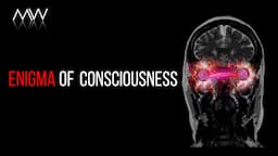 What Is Consciousness? What is Its Purpose?