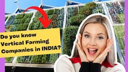 Top 20 Vertical Farming Companies in INDIA You Need To Know