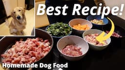 HOMEMADE Dog Food | Best Recipe to Cook for a HAPPY & HEALTHY Dog!