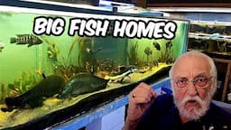 See What Happens When You Give Big Fish the Ultimate Aquarium