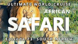 3-Day AFRICAN SAFARI: Ep. 73  Ultimate World Cruise: