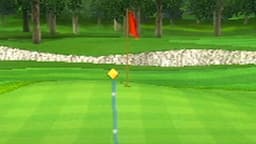 the final wii sports golf platinum medal