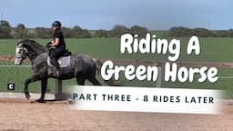 Training A Young Horse Under Saddle