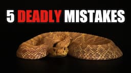 FIVE MISTAKES Venomous Snake Keepers Make