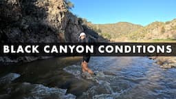 Black Canyon 100K - 2023 Race Week Course Preview