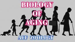 BIOLOGY OF AGING  | Acf Zoology | Zoology Classes | MSc Zoology | UPSC ZOOLOGY | Bsc Zoology | NEET