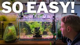 Instant, Modular and EASY Aquascaping with the Habistax