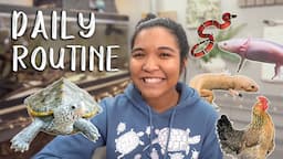 My DAILY PET ROUTINE 2021! (a day in my life with 10+ pets)