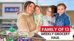 SHOPPING FOR 11 KIDS: ALDI GROCERY HAUL!! WHAT'S NEW?