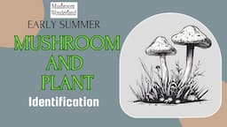 Early Summer Mushroom and Plant Identification