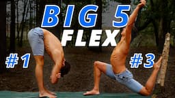 "Big 5" Active Flexibility Routine! (FOLLOW ALONG)