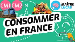 Consommer en France CM1 - CM2 - 6e - Géographie