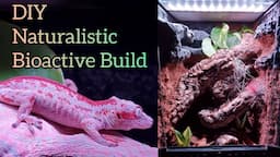 DIY crested gecko gargoyle gecko enclosure cage naturalistic build