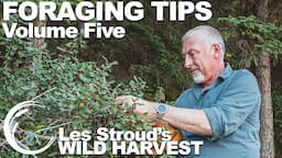 Wild Harvest Foraging Tips  Vol 5 | Les Stroud | Wild Harvest TV series