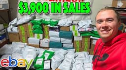 How You Can Make $3.9K Every 2 Days Selling on eBay & Amazon! What Sold?