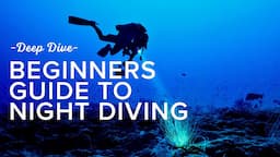 Beginners Guide To Night Diving | Deep Dive