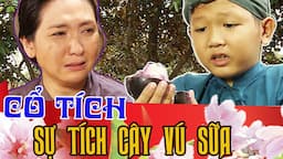 SỰ TÍCH CÂY VÚ SỮA - Cổ Tích Việt Nam- Chuyện về tình thương của mẹ?| Truyện Cổ Tích THVL Hay 2021