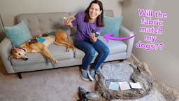 Selecting a DIY Dog Friendly Sofa // Home Reserve Review (Part 1)