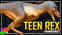 Kids Discover The Newest Juvenile Tyrannosaurus rex Skeleton! – Meet Teen Rex