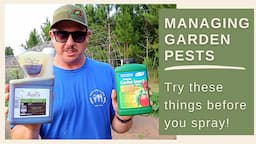 Spraying Isn't the Only Option! | Backyard Garden Bugs