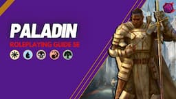 PALADIN Role Playing Guide | Color Pie System