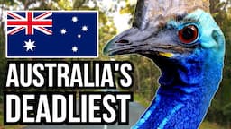 14 Of The Deadliest Animals In Australia - Danger Down Under!