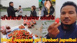 Japanese girl Lwgw homni dinwi//Organic Stroberi Jana ma bungkw//गिबि आंनि थाखै