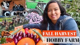 FALL HARVEST + HOBBY FARM | Filipina in Austria | JergStyle