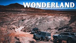 Desert Wonderland | Anza Borrego Adventure