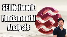 SEI Network Fundamental Analysis