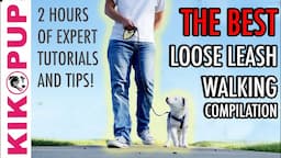 The ABSOLUTE BEST compilation of LOOSE LEASH WALKING TUTORIALS