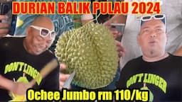 DURI HITAM JUMBO (OCHEE) RM 110/kg | DURIAN BALIK PULAU PENANG 2024 | KING STREET FRUIT MALAYSIA