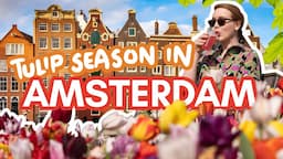 Weekend in AMSTERDAM during TULIP SEASON! | low budget things to do