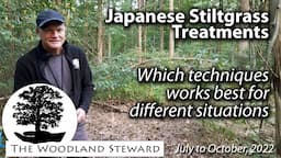 Treating Japanese Stiltgrass – We show you what works for different situations - October, 2022