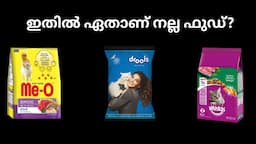 ഏത് ഫുഡ് ആണ് പൂച്ചയ്ക്ക് നല്ലത് | Best Cat food In Your Budjet |Persian Cats Kerala