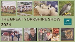 🐏 How many different sheep breeds? What a great show and there is even some needle felting too! 🦉