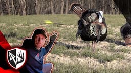 Opening Day Turkey Down! 8 Yard Shot