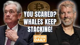 While You're Scared, Whales Keep Stacking Bitcoin